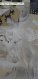 acryliqu177.jpg (1488 octets)