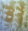 acryliqu203.jpg (2045 octets)