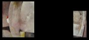 acryliqu53.jpg (3047 octets)